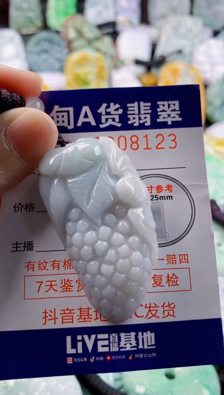 翡翠未镶嵌吊坠(不含链)1