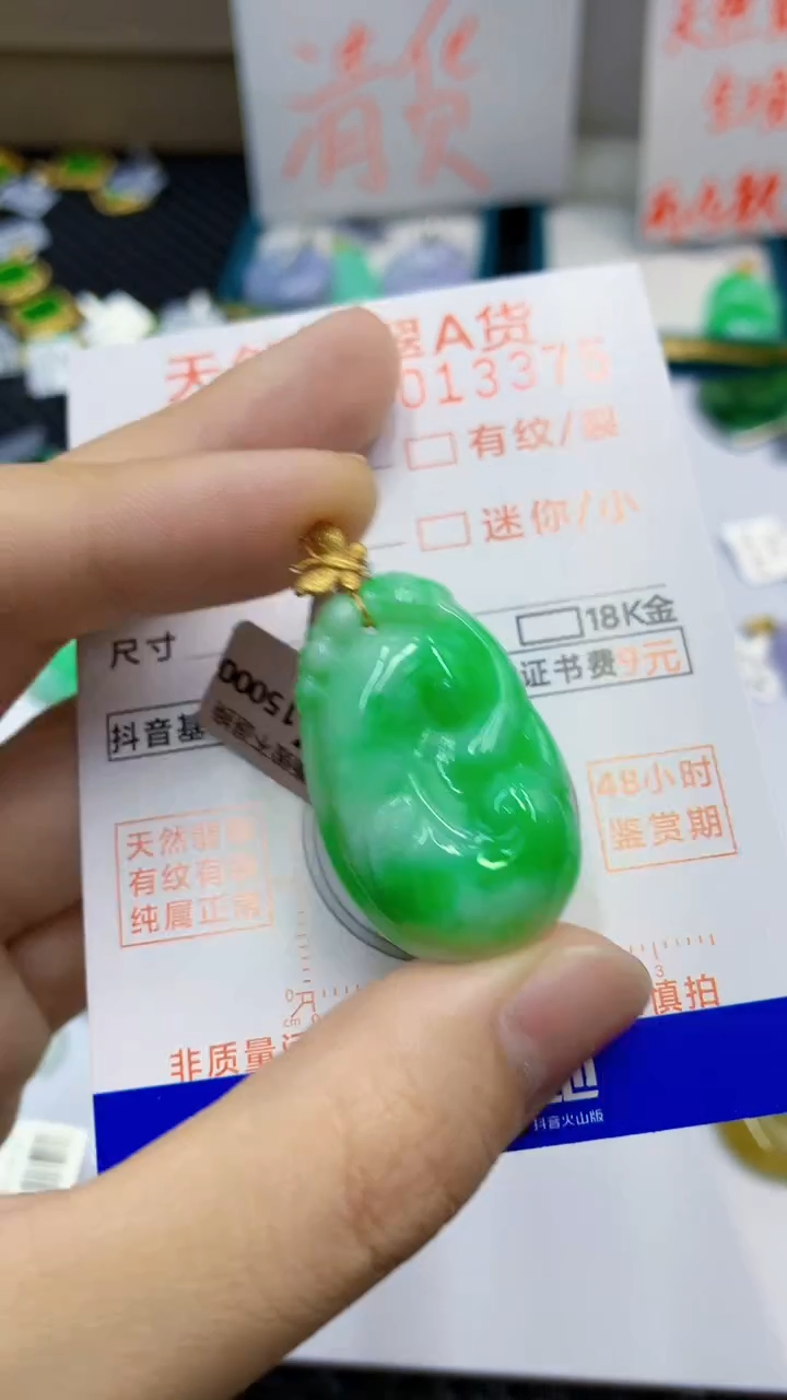 翡翠18K金镶嵌颈饰             1