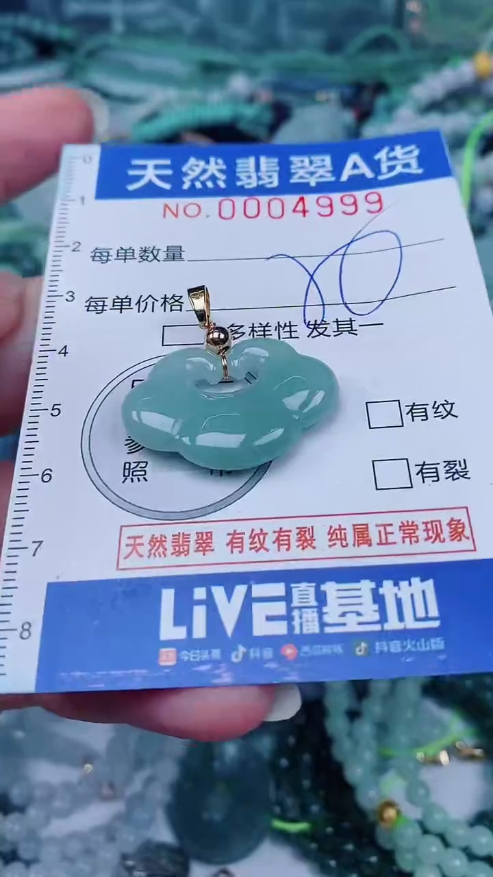 翡翠未镶嵌颈饰00004999