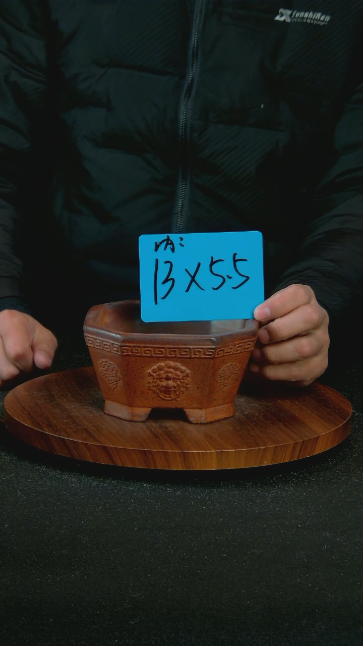 【闪购商品】紫砂F59