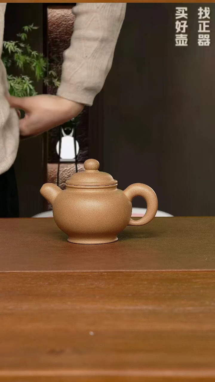 【闪购商品】紫砂茶壶-陆琴华老师 道洪掇只 段泥250CC