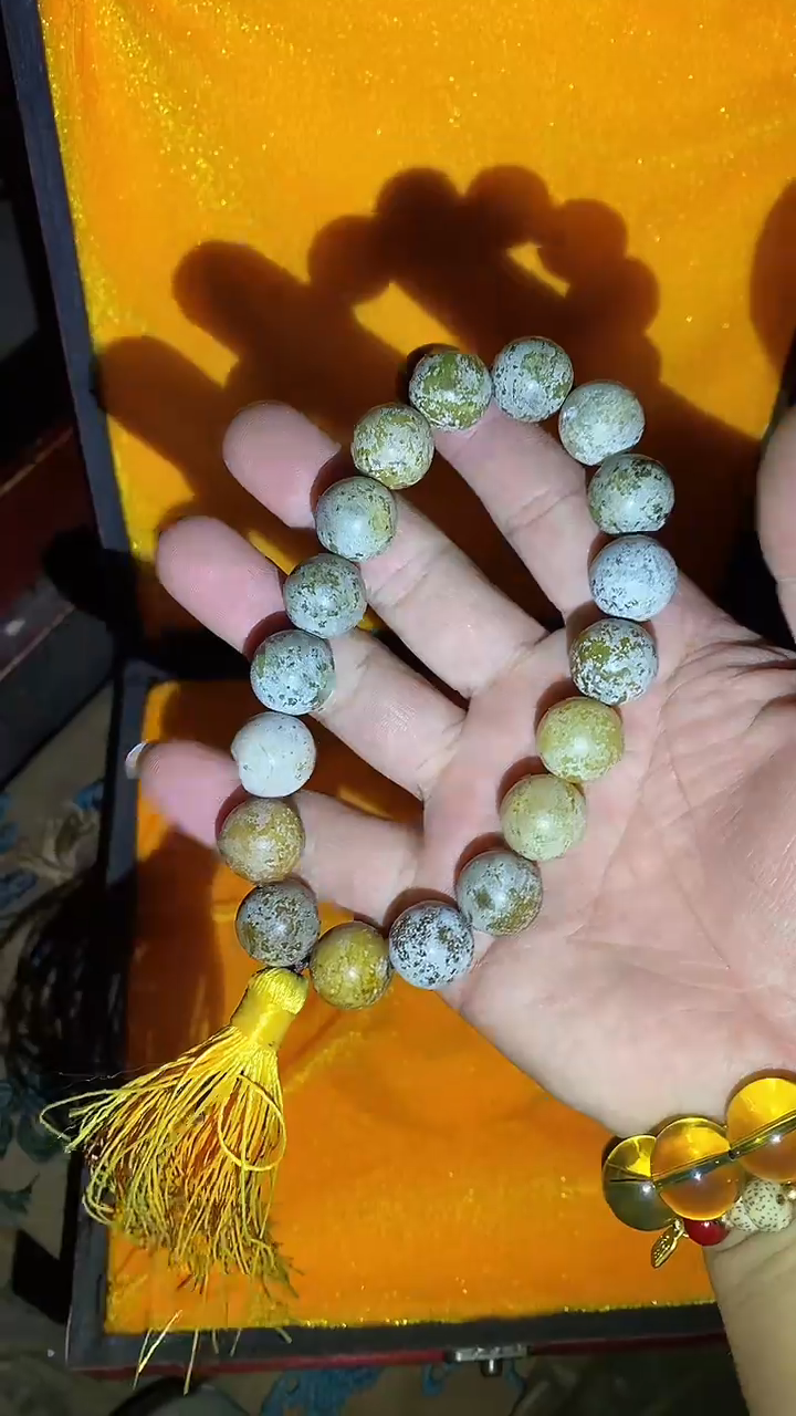 木51啊啊啊啊啊啊啊啊啊啊啊啊啊啊啊