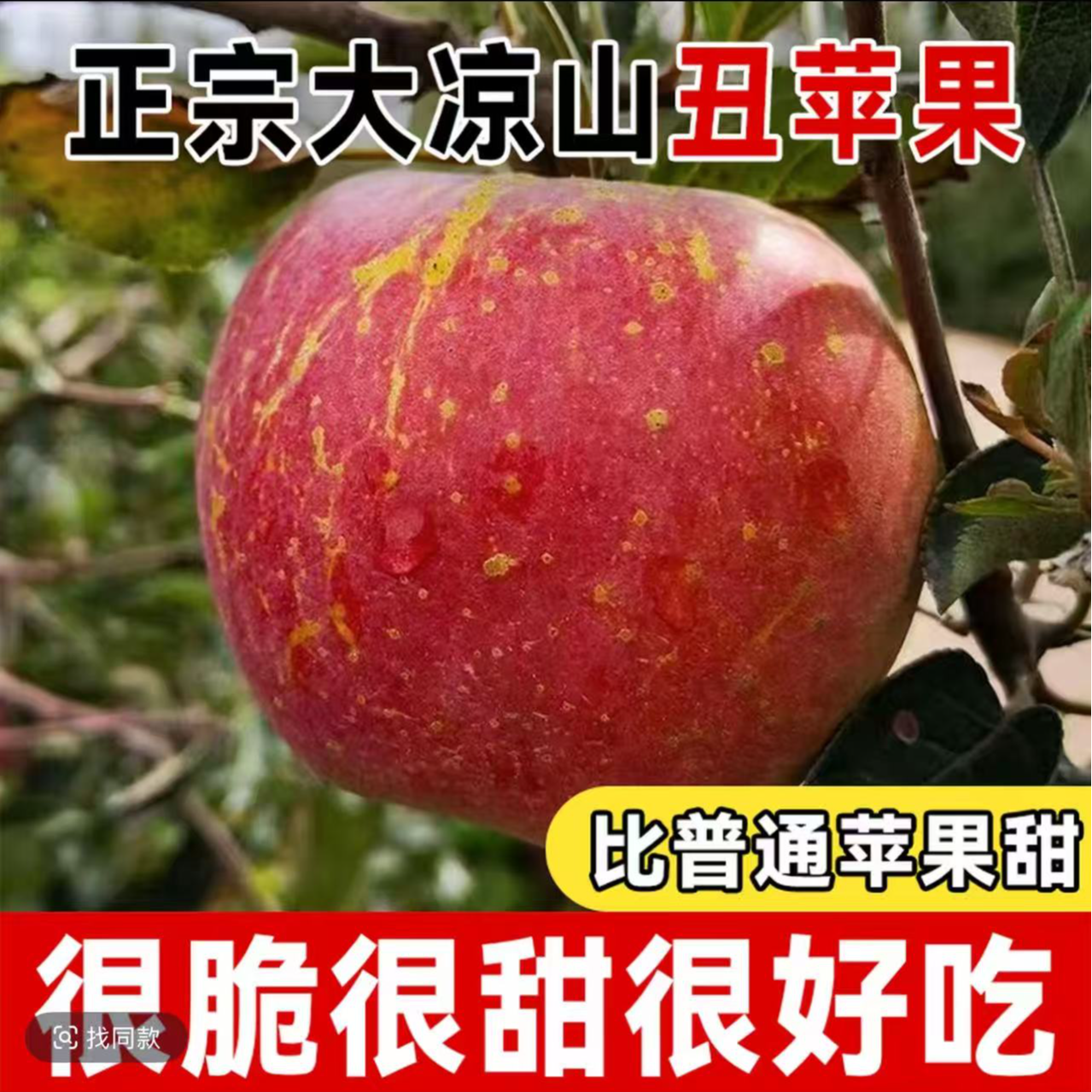 正宗四川大凉山冰糖心丑苹果  新鲜现摘脆甜多汁水果