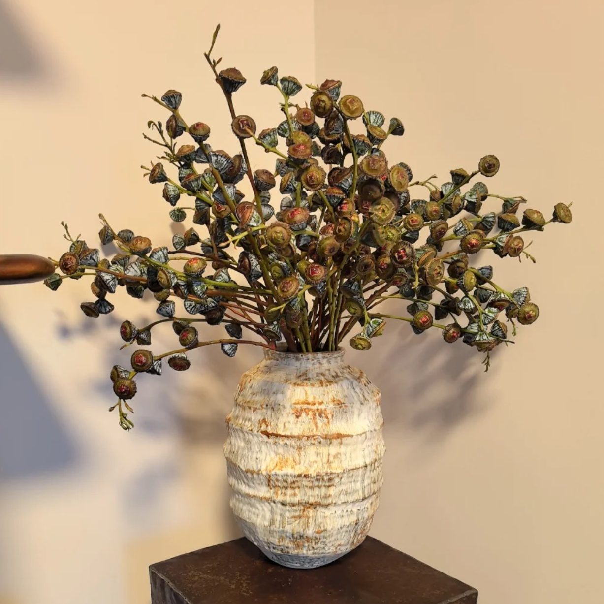 【钻石尤加利果】大果清新木质香 家居软装花材可做干花好养护