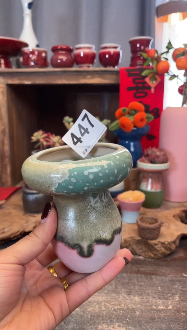 【闪购商品】摆件447知木小芳花盆