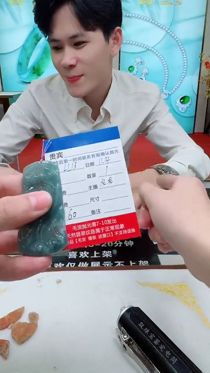 颈饰未镶嵌翡翠LL13翡翠吊坠-多样性发其一