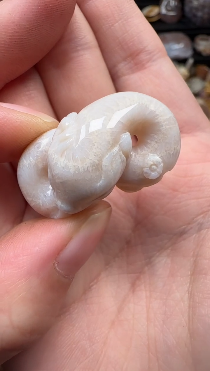 颈饰未镶嵌硅化珊瑚（珊瑚玉）203