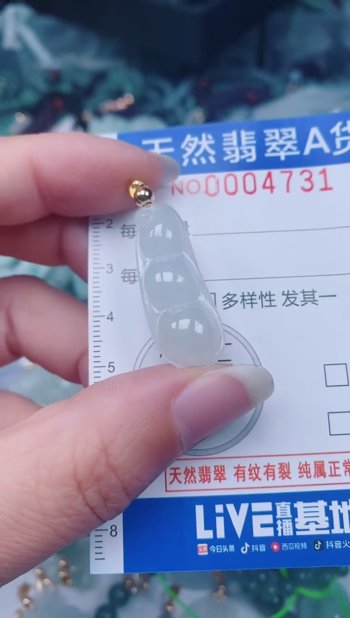 颈饰未镶嵌翡翠00004731