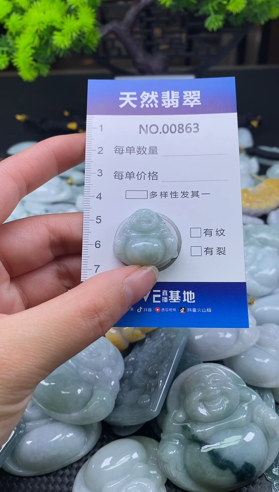 颈饰未镶嵌翡翠天然缅甸翡翠863