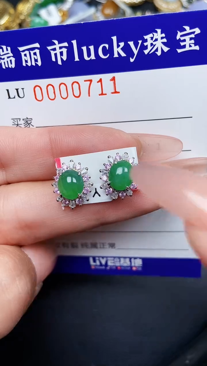 【闪购商品】翡翠颈饰银S925镶嵌0711