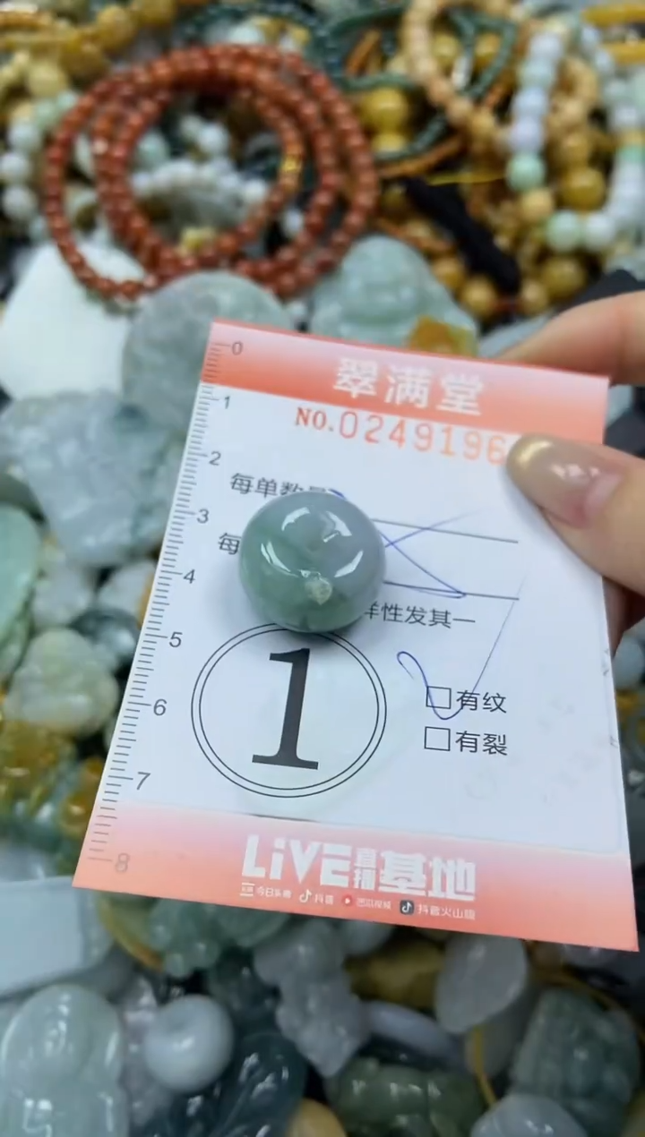 未镶嵌挂件翡翠闪购0249196