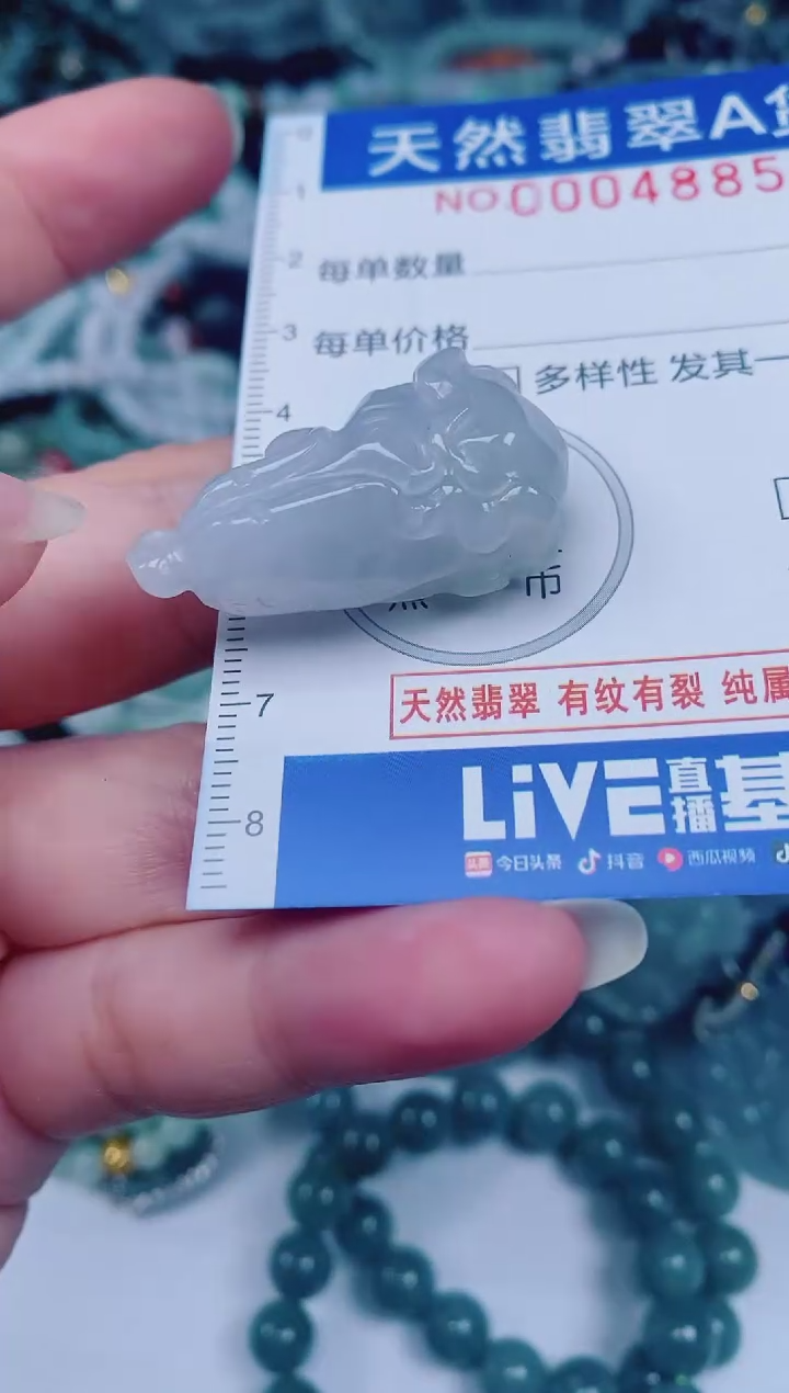 颈饰未镶嵌翡翠00004885