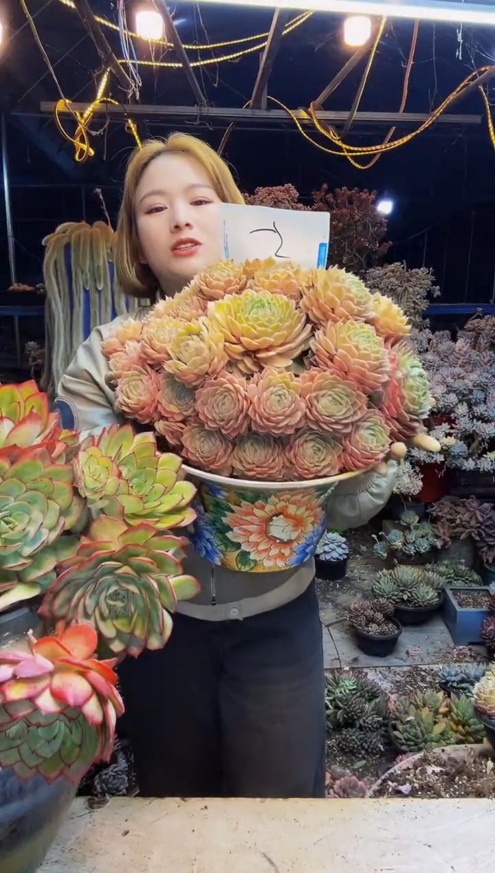 咚*包5号一物一拍脱土包邮