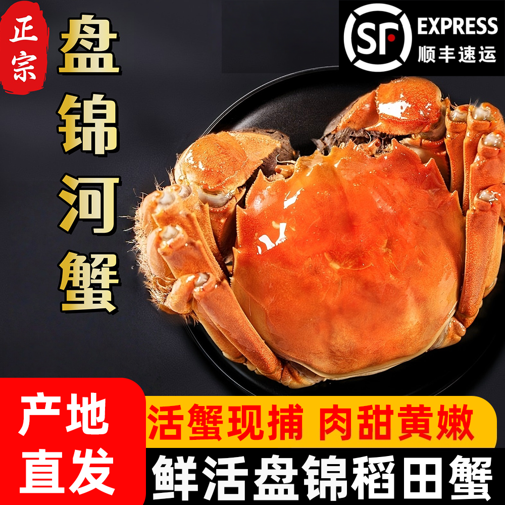 【活蟹】正宗盘锦河蟹母蟹1.6-1.3两*16只顺丰包邮死蟹包赔