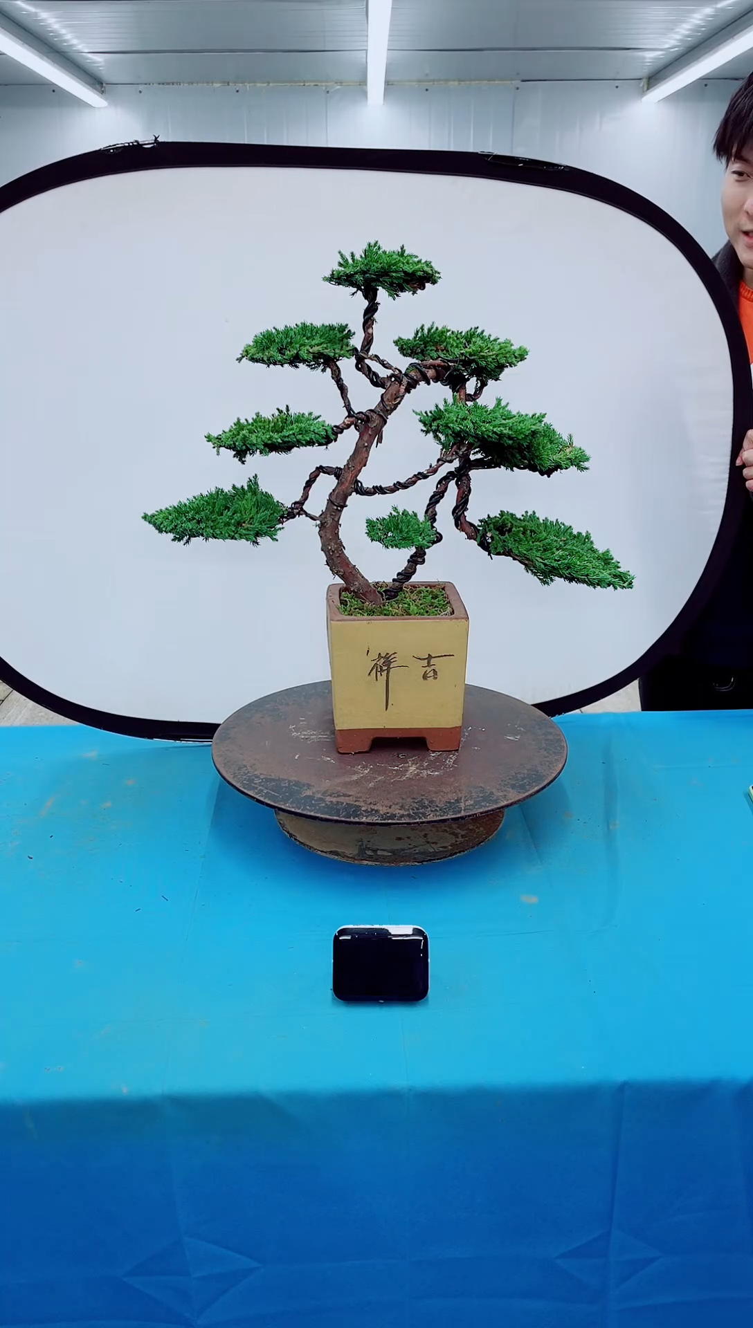 无花朵000000000000000