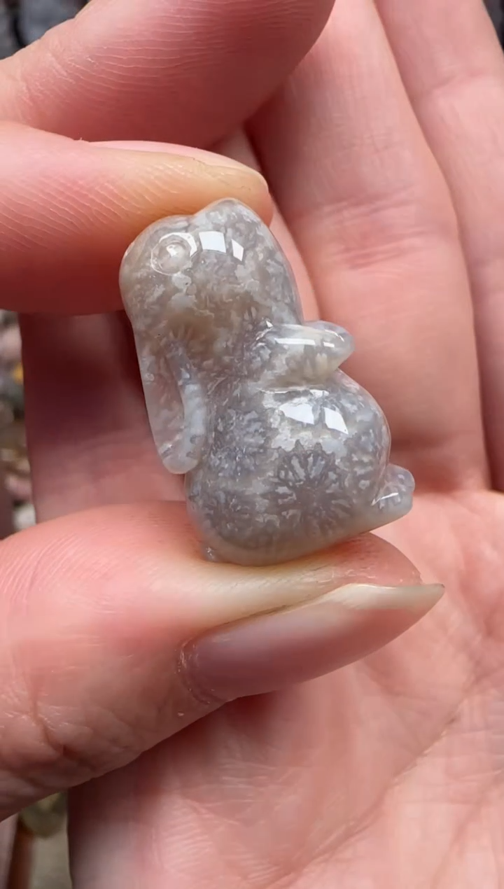 颈饰未镶嵌硅化珊瑚（珊瑚玉）634