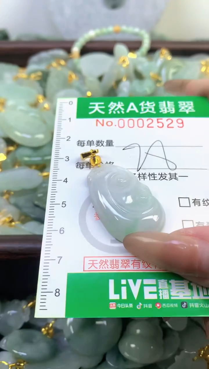 颈饰未镶嵌翡翠天然A货翡翠