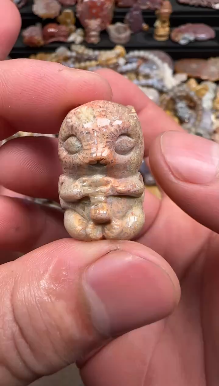 硅化珊瑚（珊瑚玉）未镶嵌颈饰301