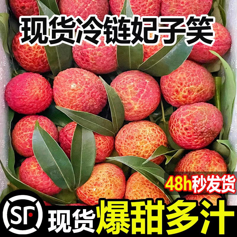 【顺丰冷链】现摘新鲜荔枝妃子笑鲜甜多汁【坏了包退】