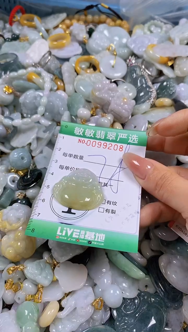 【闪购商品】翡翠颈饰未镶嵌闪购0099208