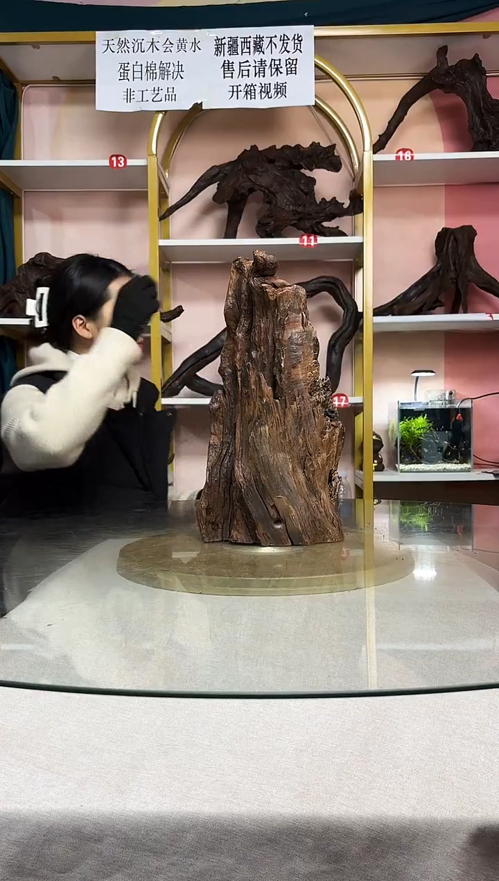 归*鱼缸造景沉木A918