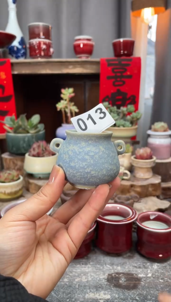 【闪购商品】摆件013知木小芳花盆