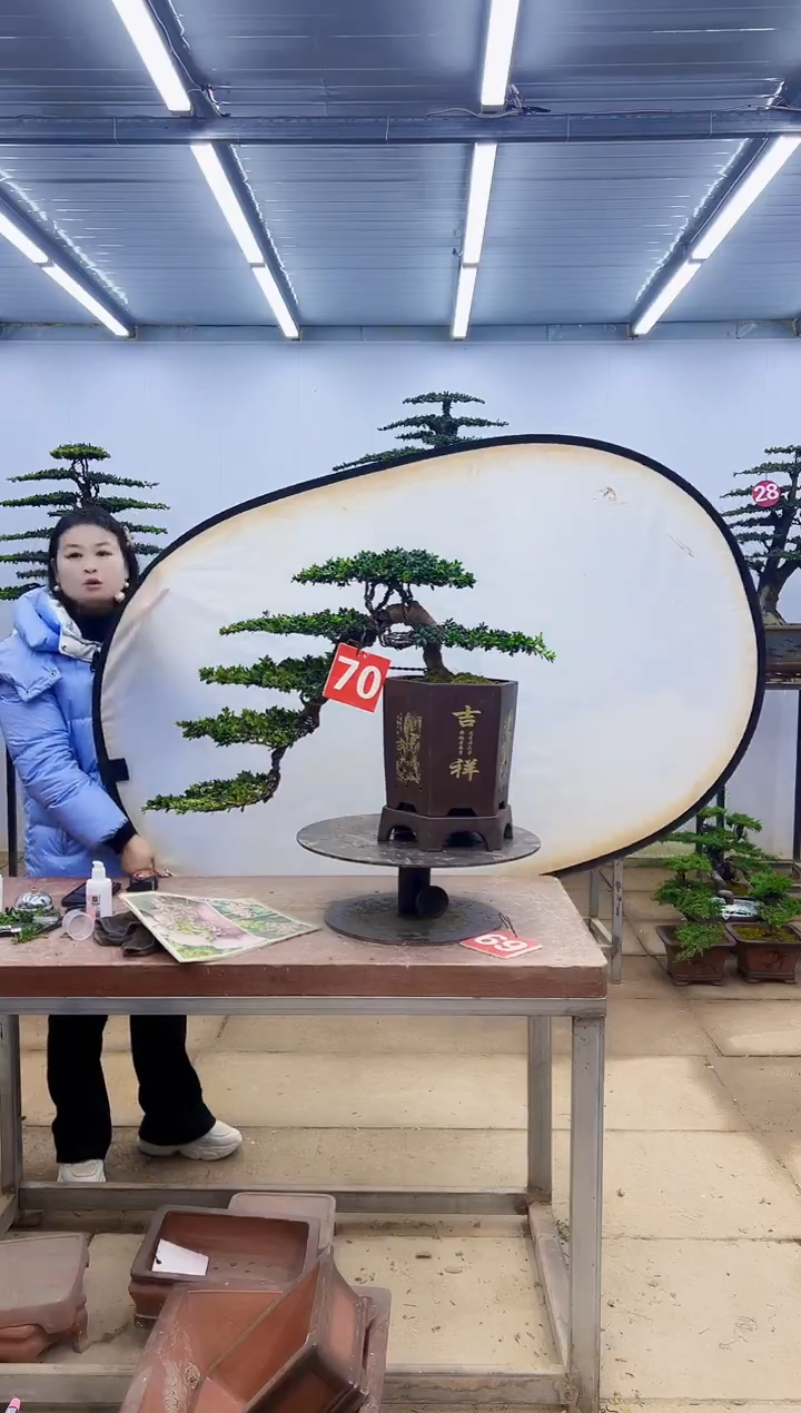 无花朵一物一拍，所见即所得