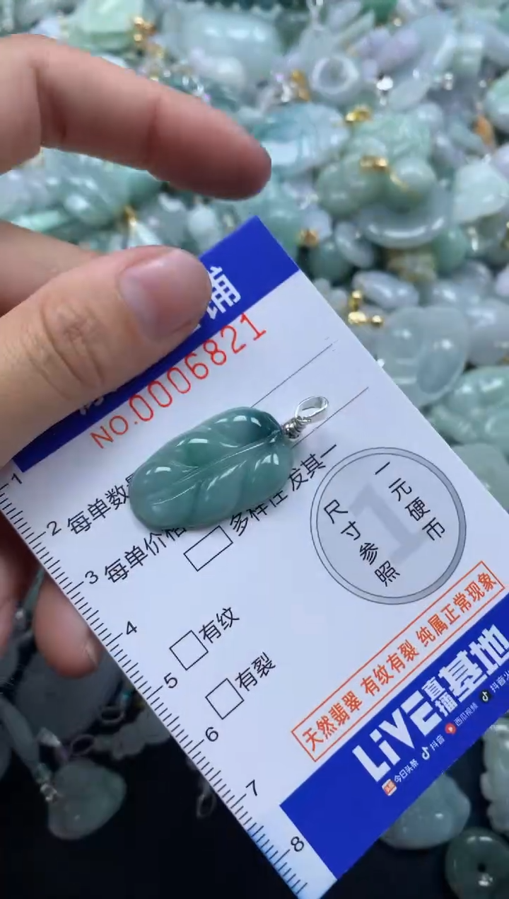 颈饰未镶嵌翡翠6821