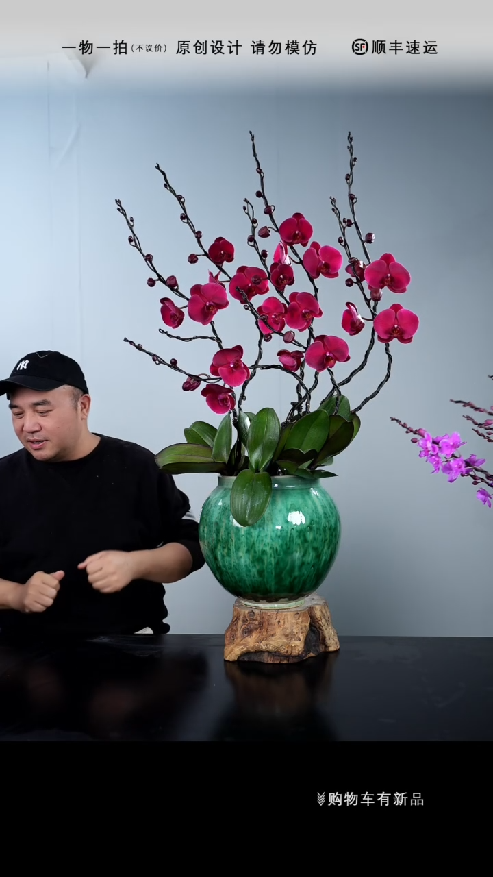 【闪购商品】011号链接【一物一拍】艺术盆景