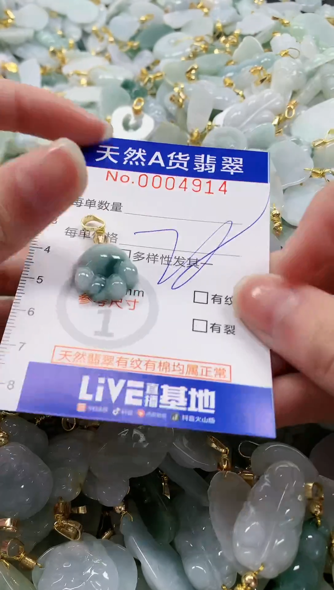 颈饰未镶嵌翡翠纯天然a货翡翠