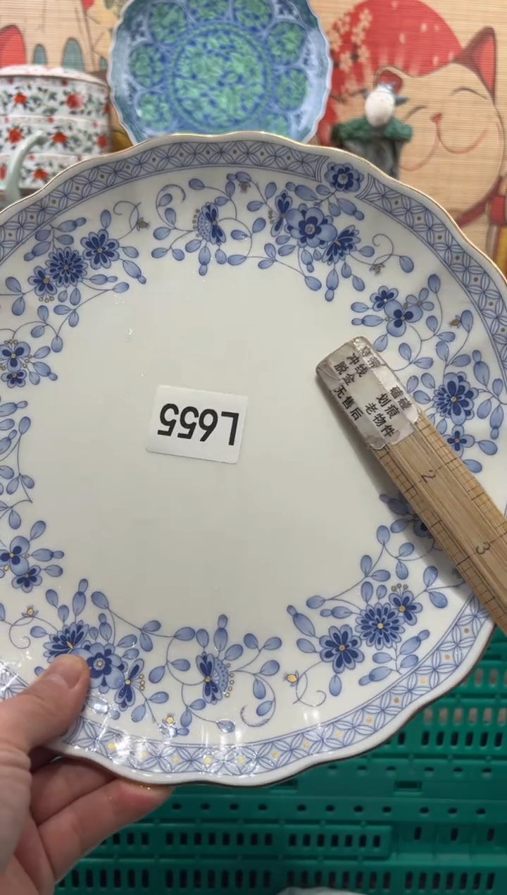 瓷片?***天瓷片------L655