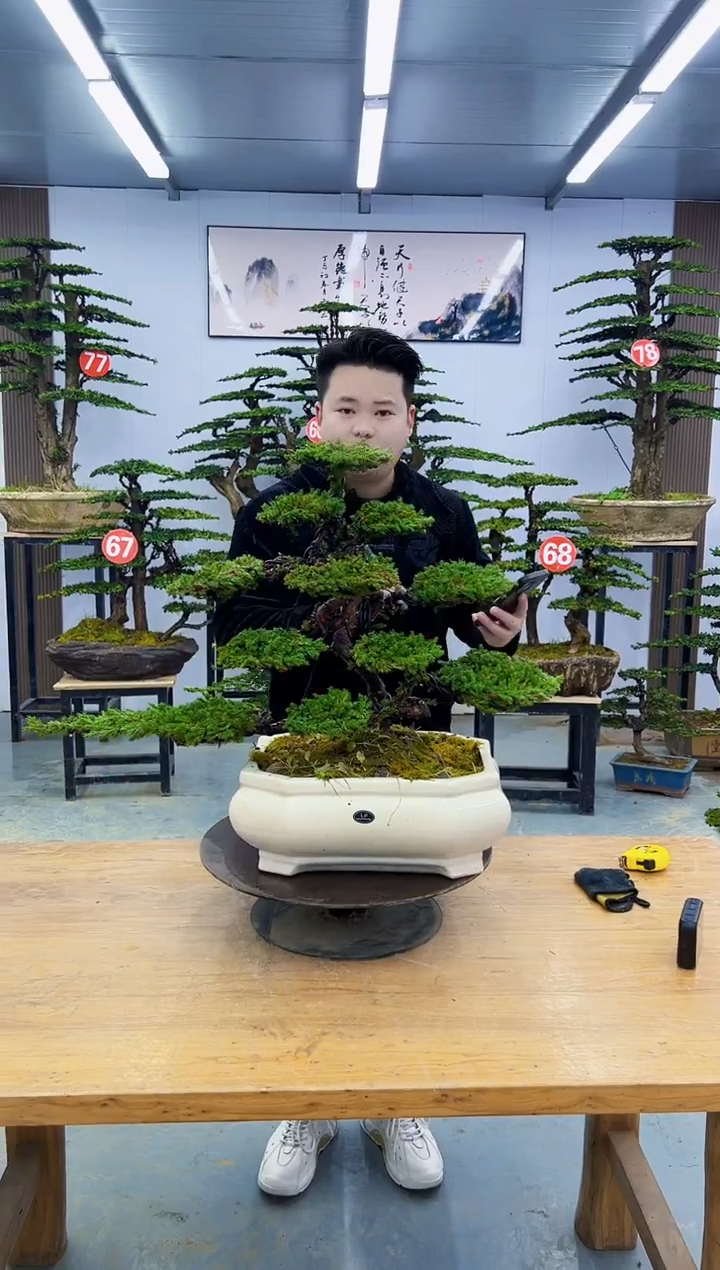 以实际为准0000000