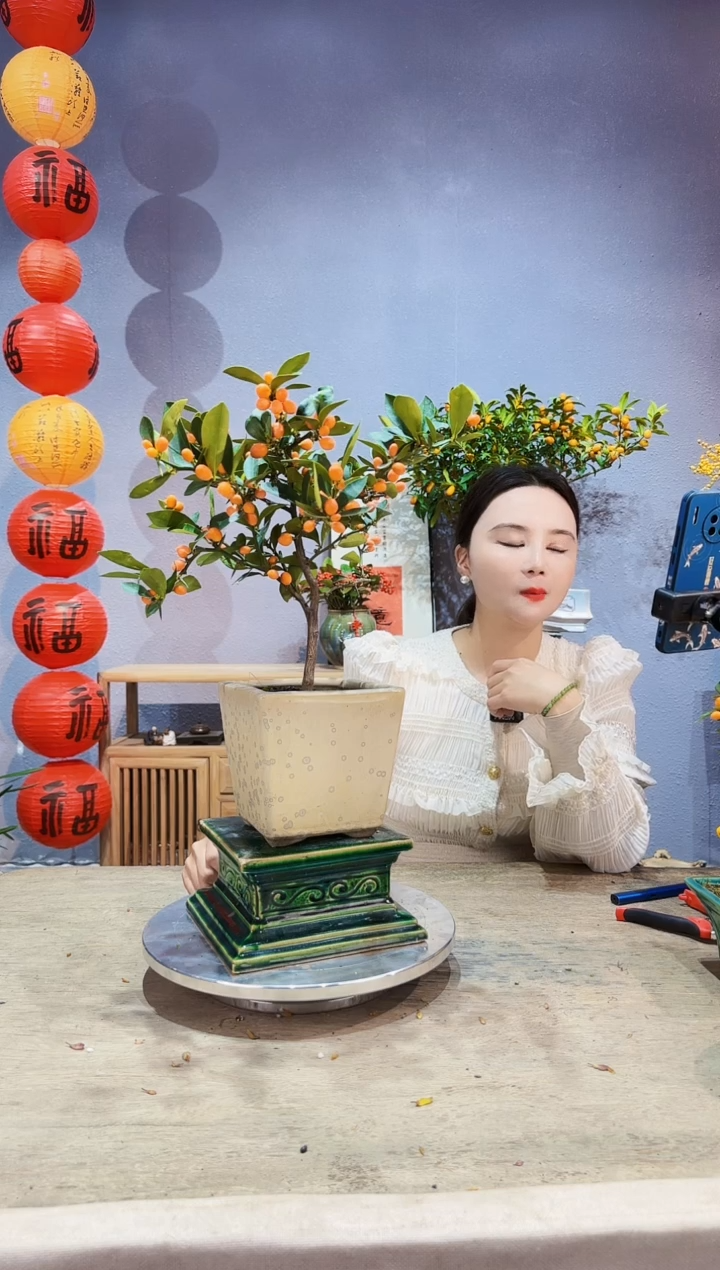 【闪购商品】盆景原生金豆