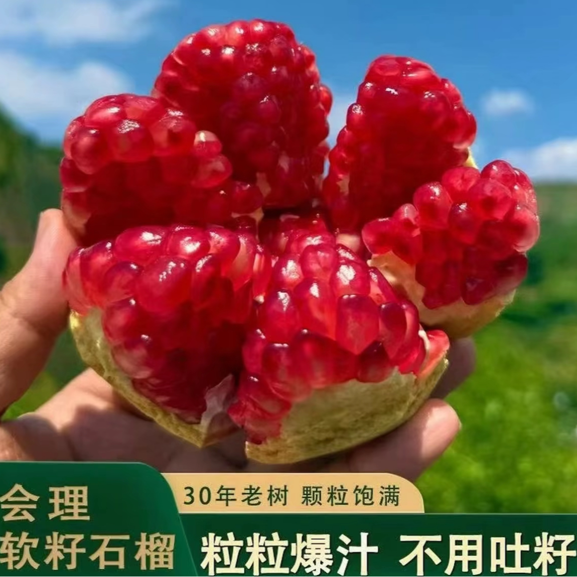正宗会理突尼斯软籽石榴整箱5斤爆甜多汁新鲜应季水果风声L