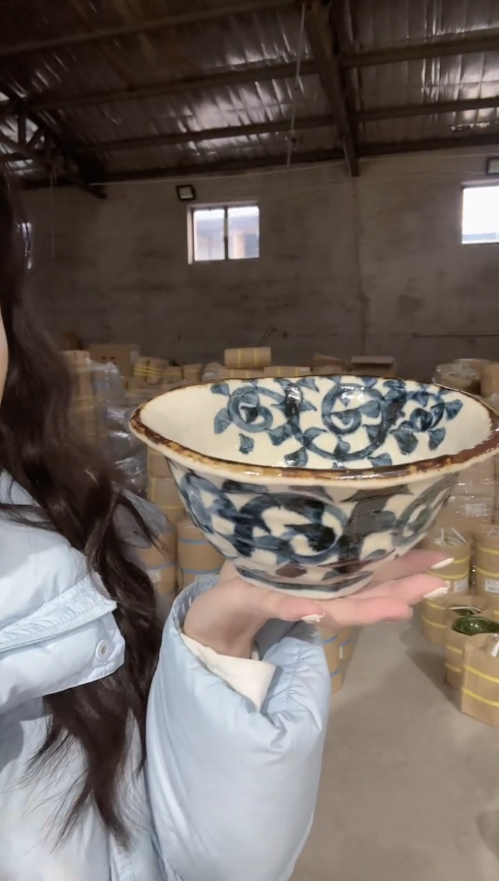 陶瓷唐草19.5cm变形面碗一个