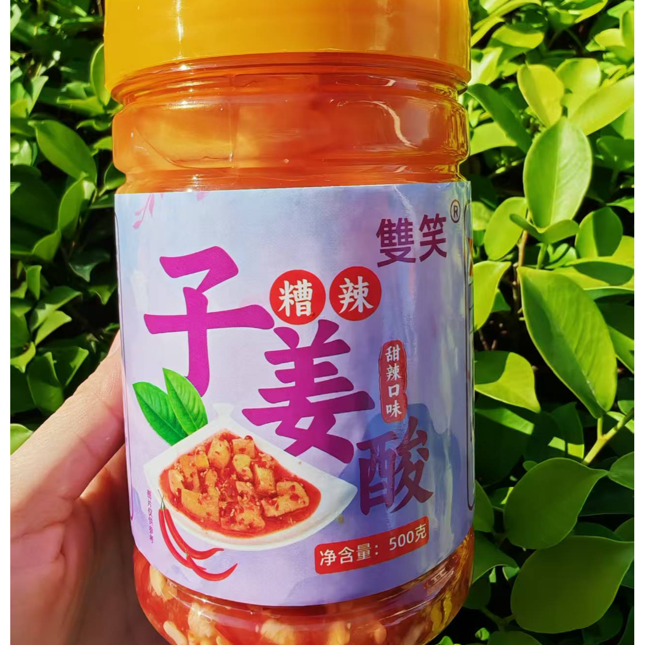子姜酸广西风味特产糟辣酸嘢腌制嫩子姜甜辣送粥下饭小菜农家酸料