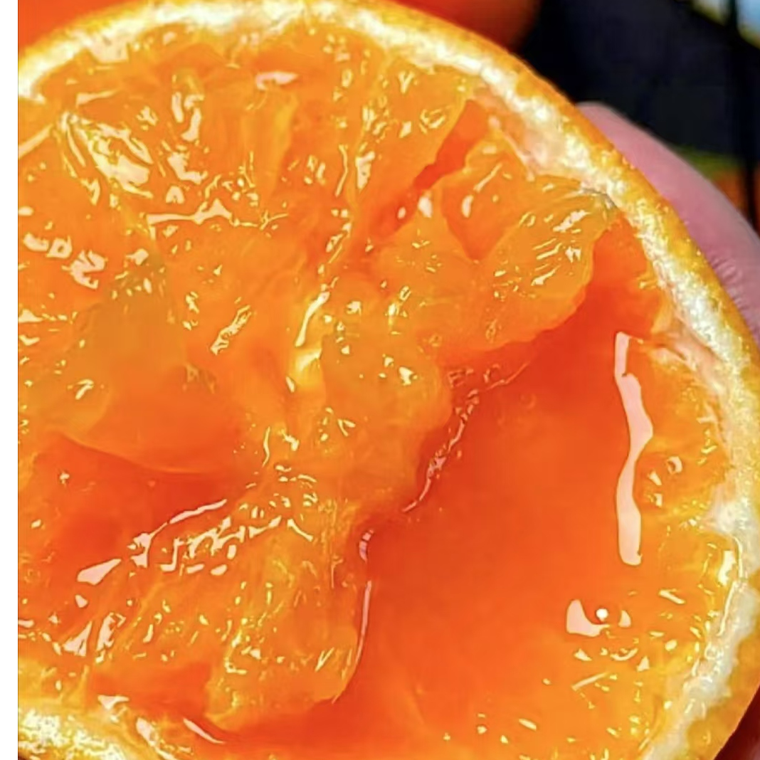 春见耙耙柑 一份2.5斤