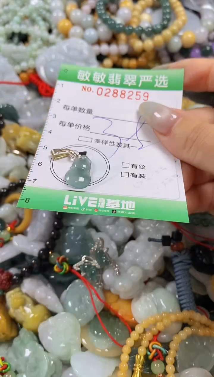 翡翠未镶嵌颈饰闪购0288259