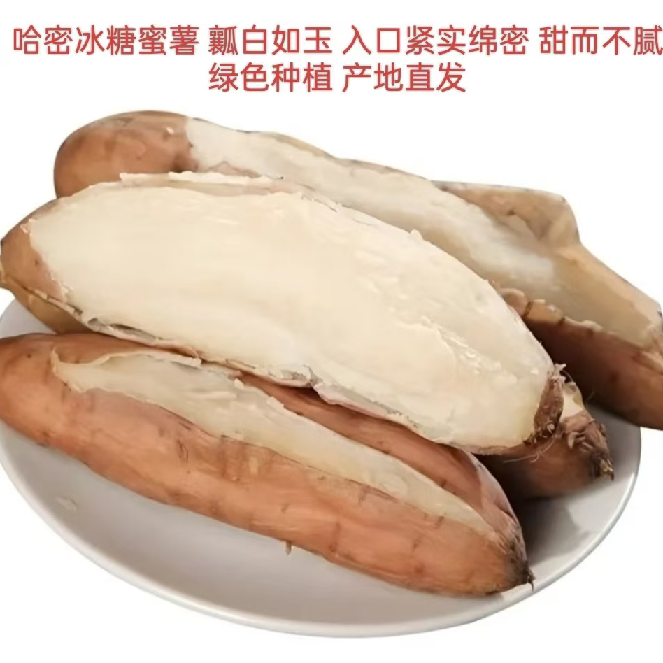 即墨哈密冰糖白心蜜薯 产地直发