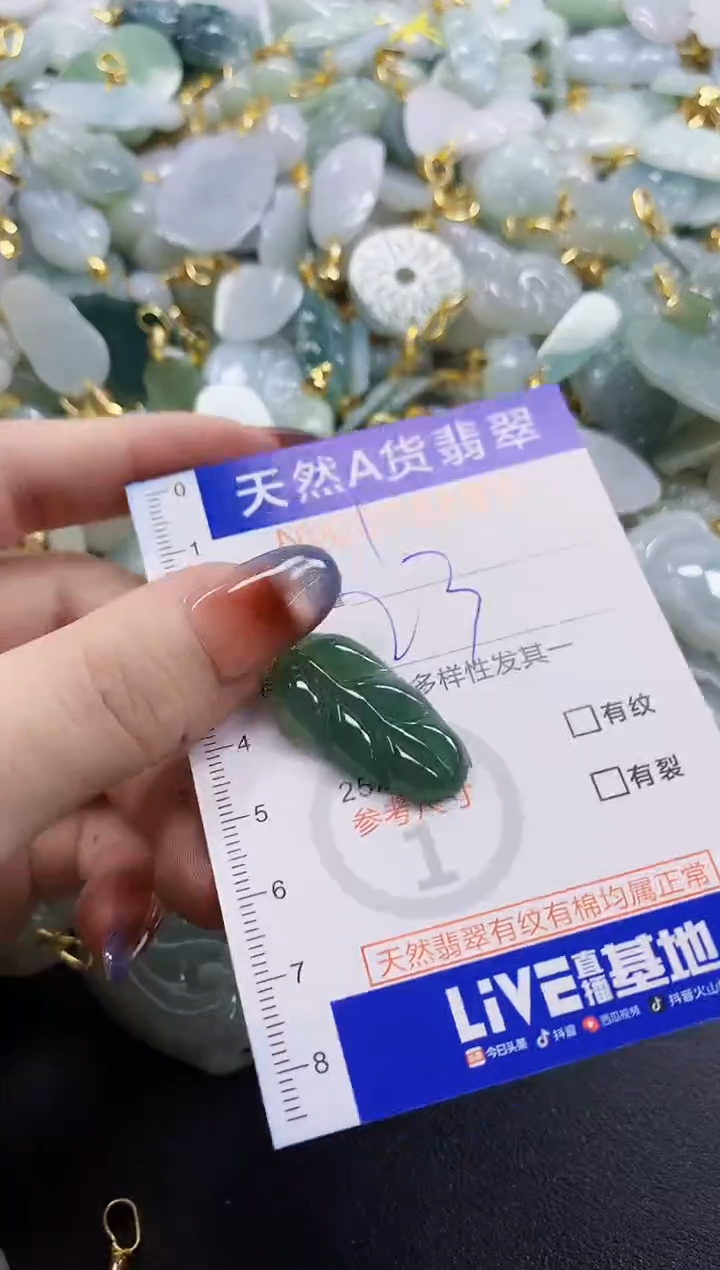 颈饰未镶嵌翡翠天然A货翡翠