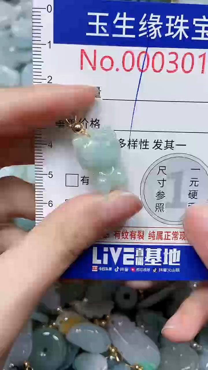 【闪购商品】翡翠颈饰未镶嵌闪购00003013