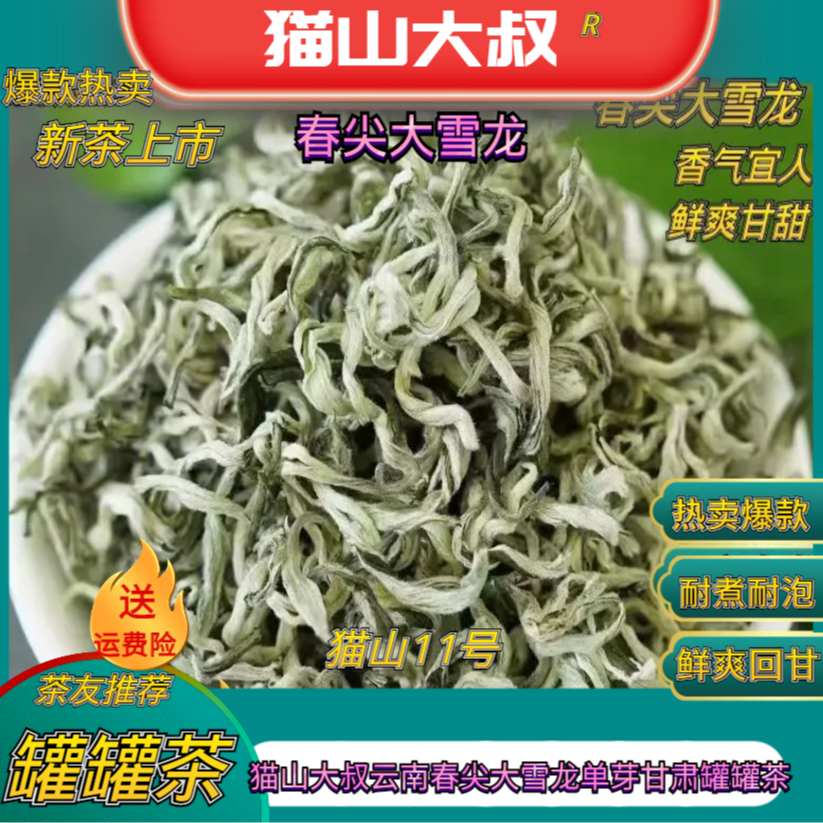 【猫山11号】2025新茶云南春尖大雪龙单芽西北兰州天水甘肃罐罐茶