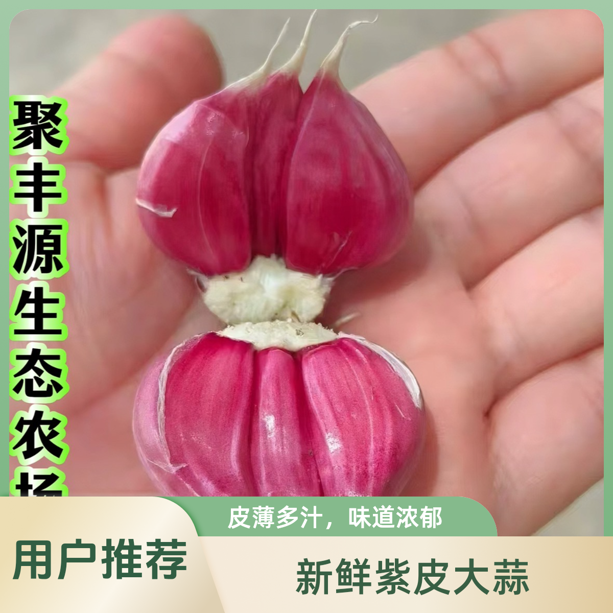 （超级划算）宝坻四六瓣紫皮大蒜超大果两辫共计100头省19元