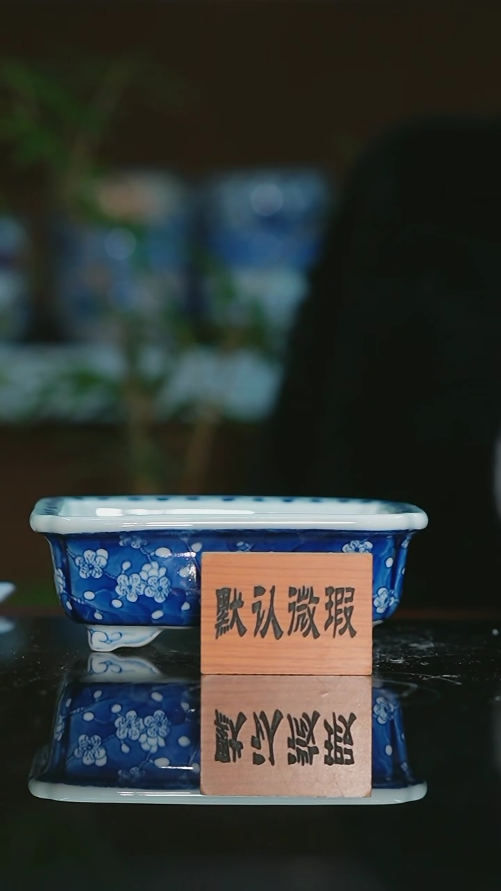 【闪购商品】手绘陶瓷内口*10.5*7.6高4.3深