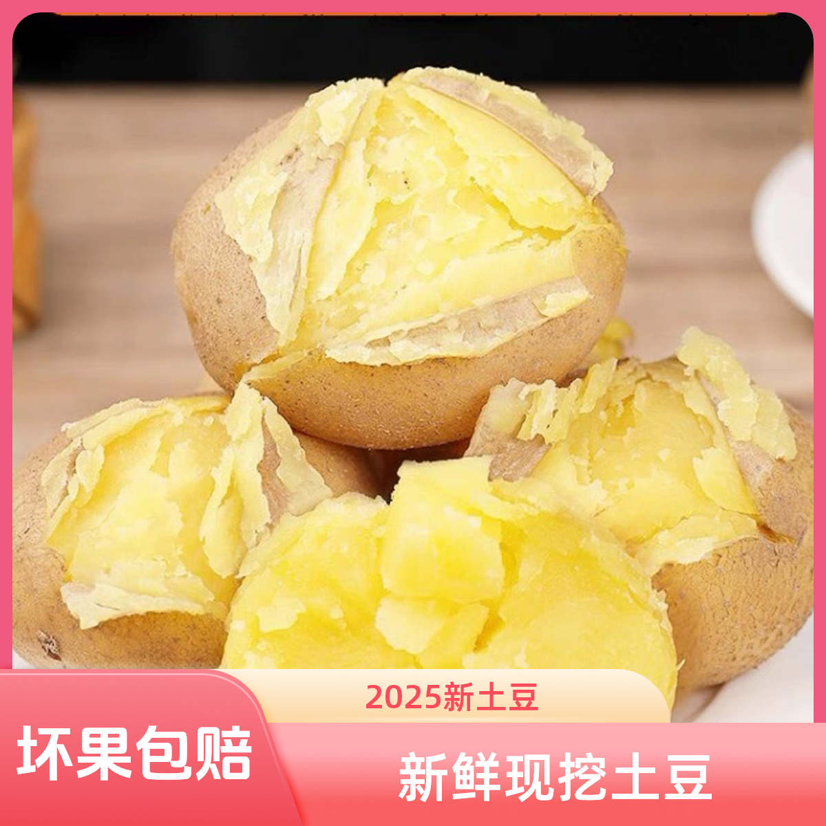 【沙面开花】定西临洮新土豆沙糯粉面土豆旱地黄皮黄心高山洋芋