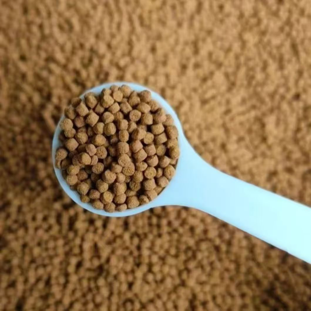 不点家专用营养鱼粮颗粒500g