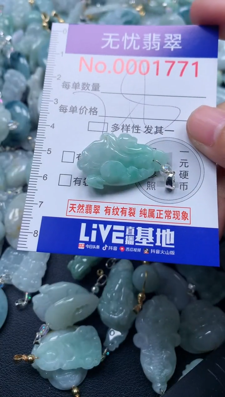 颈饰未镶嵌翡翠1771