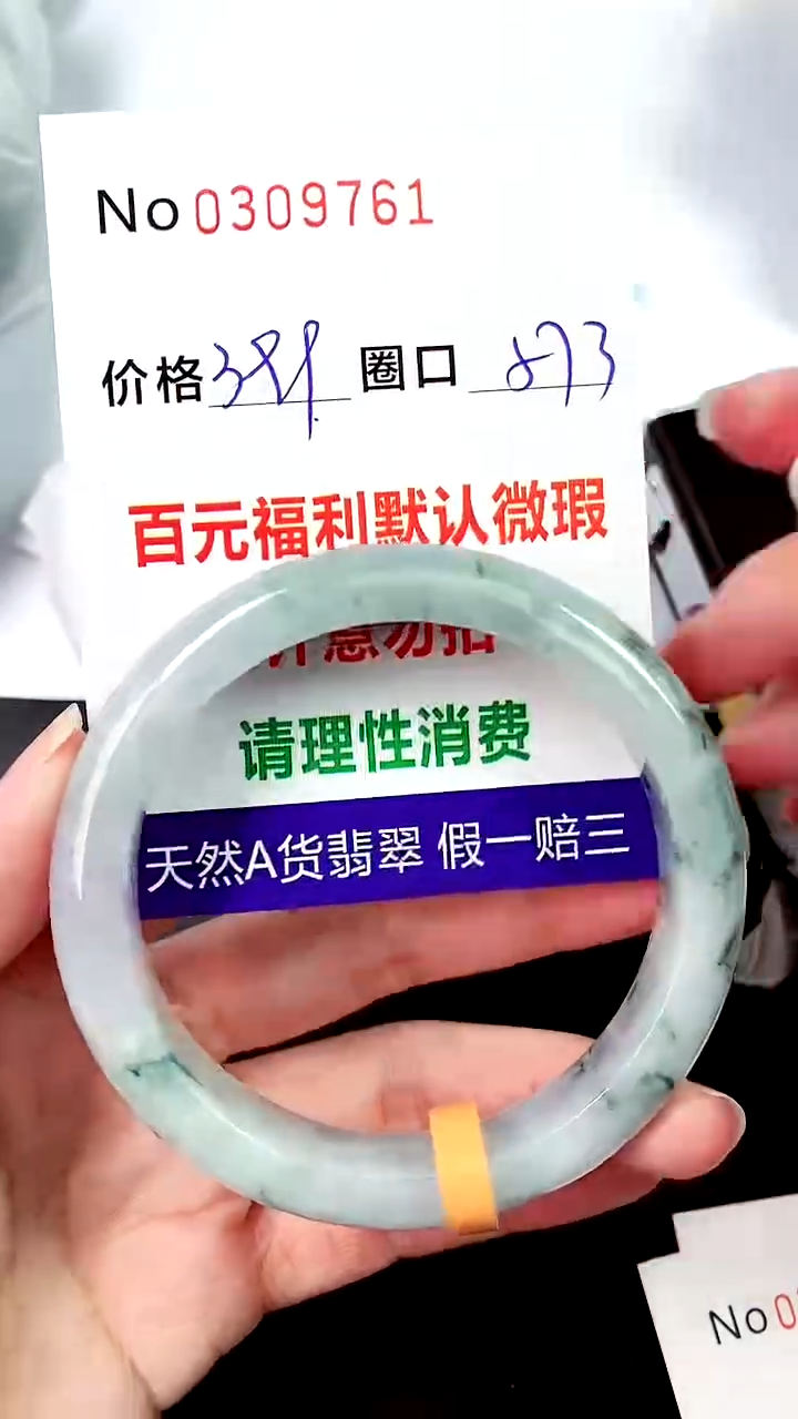 【闪购商品】翡翠手镯未镶嵌00309761