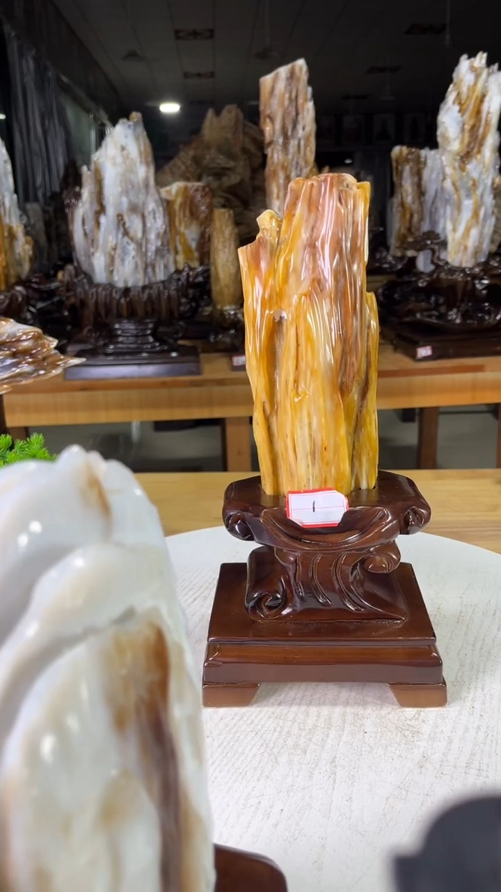 未镶嵌珠宝奇石硅化玉500