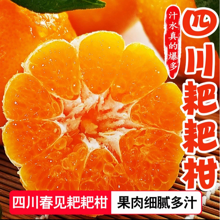 D四川春见耙耙柑2/4.5-8斤新鲜水果现采现发丑橘耙耙柑